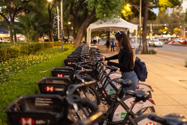 Bike Rental Business Success Stories: Real Entrepreneurs Who Made It